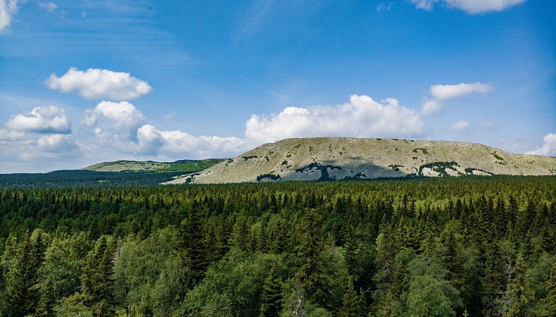 Вид на Поперечную