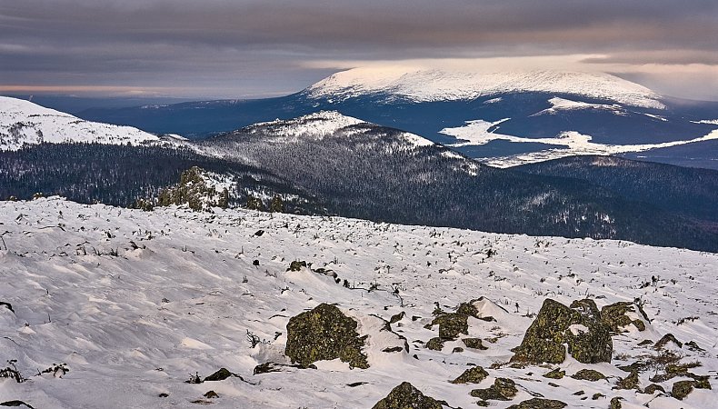Фото - Сергей Межин