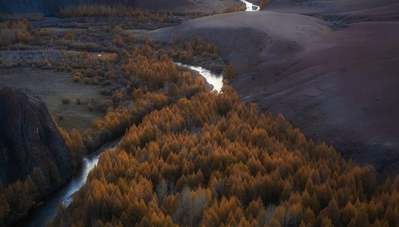 Фото - Сергей Межин