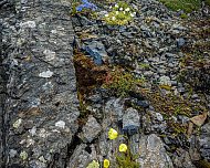 days-photo-15531