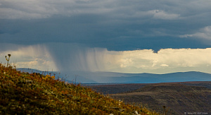Стороной идущий дождь